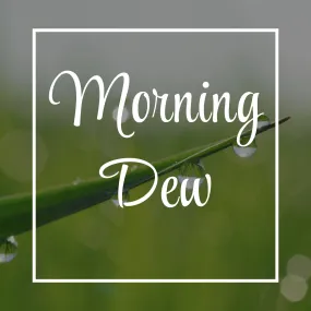 Morning Dew